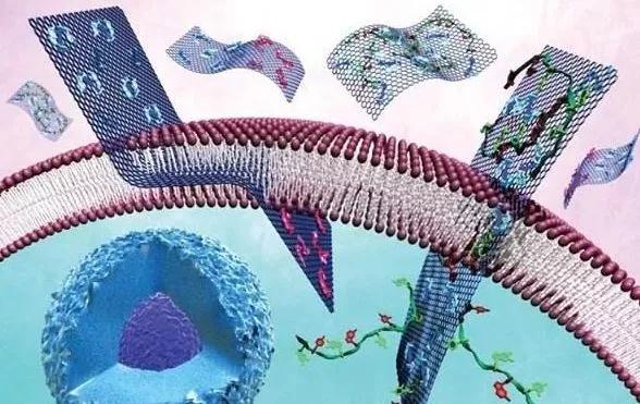 1521799982254388.jpg 圖8.jpg