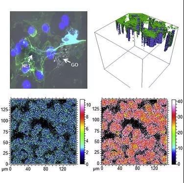 1521801063576620.jpg 圖2.jpg