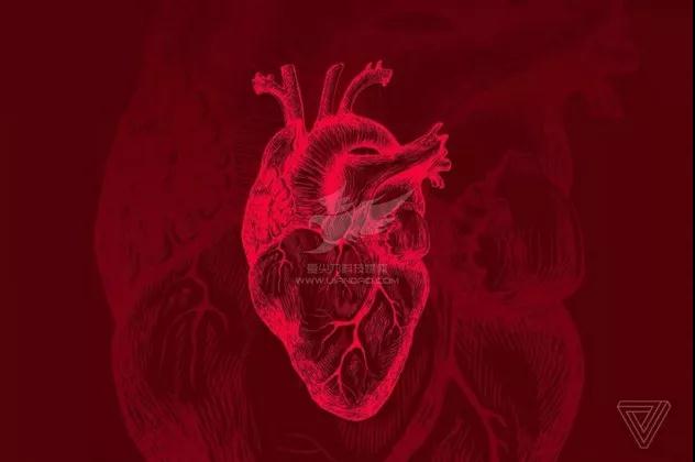 1528076977525825.jpg 圖1.jpg